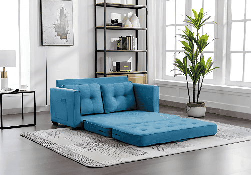 Divine Convertible 2-Seater Sofa Cum Bed