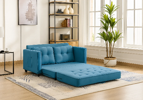 Divine Convertible 2-Seater Sofa Cum Bed